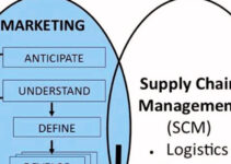 Marketing Supply Chain 