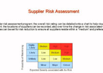 Supplier Risk Analysis 