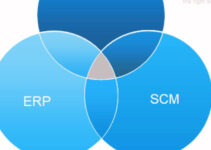 Cloud Enterprise Resource Planning in Supply Chain Management 