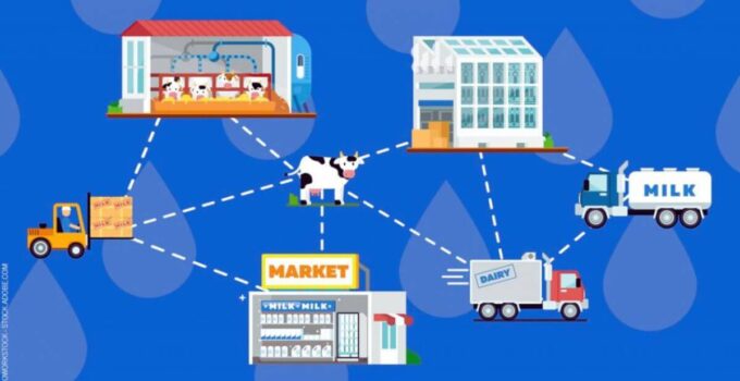 Grocery Supply Chain Management 