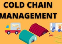 Cold Supply Chain Management 