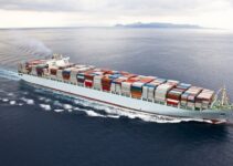 Ocean Freight Challenges 